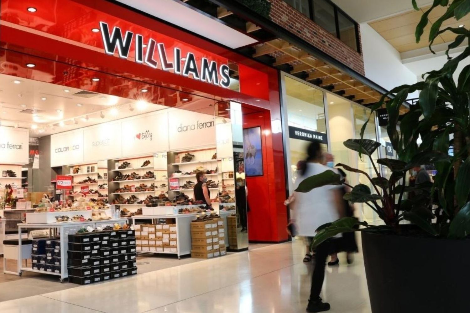 Williams shoes tea hot sale tree plaza